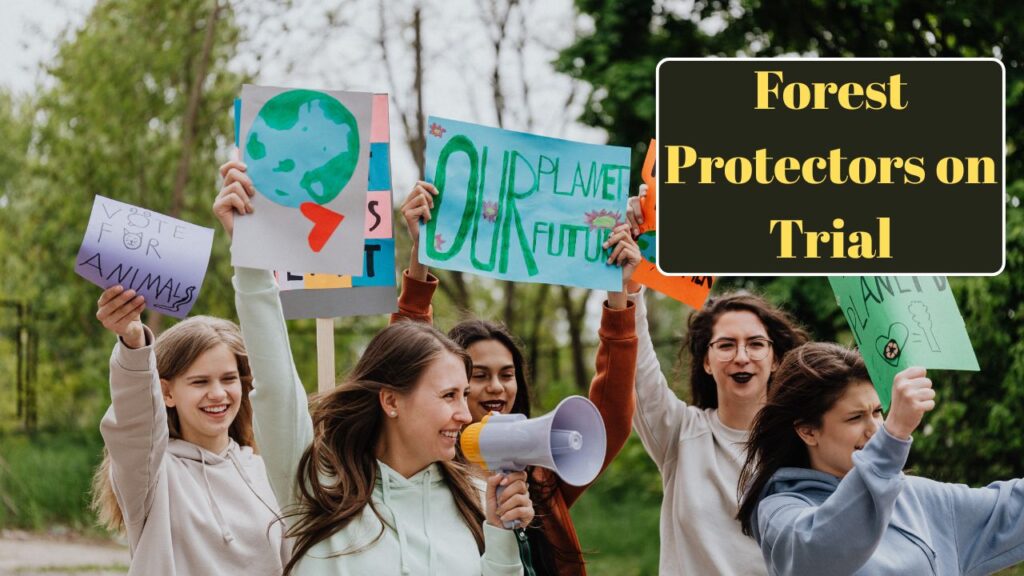 Forest Protectors on Trial: How the Legal System Responds to Dissent