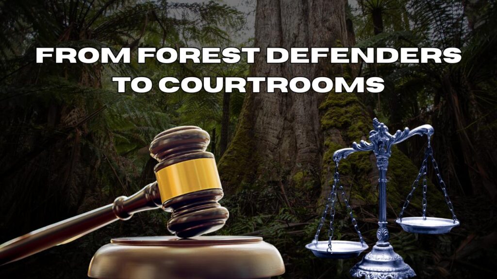 From Forest Defenders to Courtrooms
