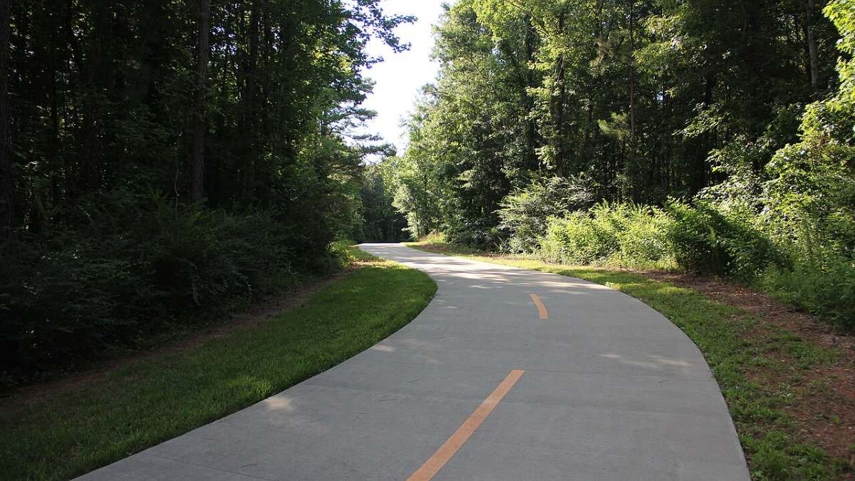 How South River Forest Became a Battleground: Inside The Origins of Stop Cop City
